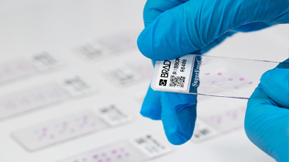 Een persoon die de labeleditor in Brady Workstation gebruikt.